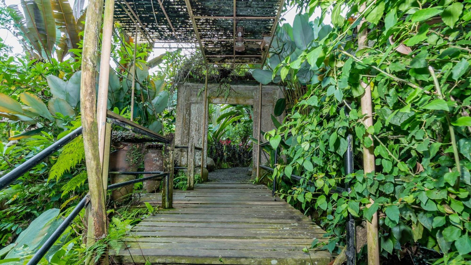 Umah Tis Sebatu Villa Tegallalang  Buitenkant foto